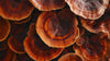 Reishi Mushroom + Selenium
